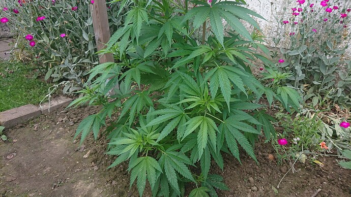 Growreport Bild 17