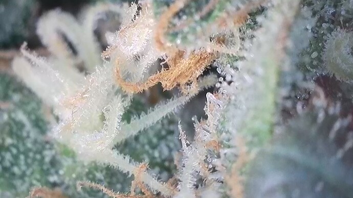 2024-10-03-205533050