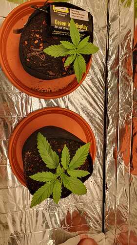 WhatsApp Bild 2024-04-16 um 10.55.36_c3314a60