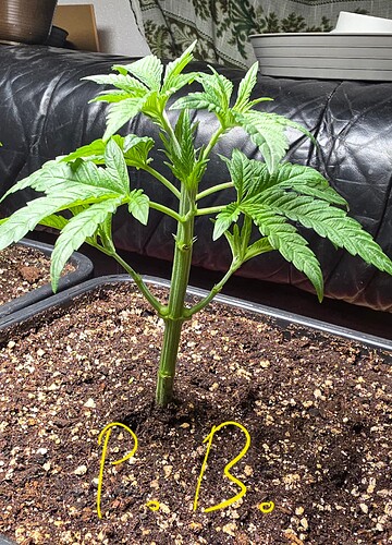 Growreport Bild 7