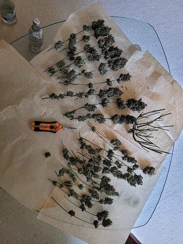Growreport Bild 2