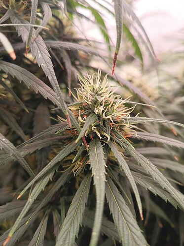 Growreport Bild 23