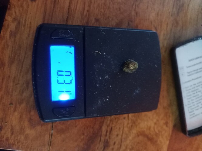 Growreport Bild 19
