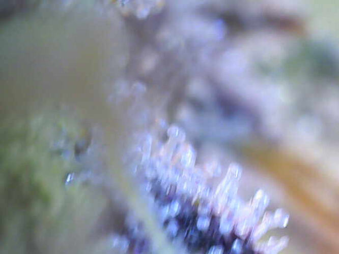 Growreport Bild 11