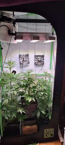 Growreport Bild 16