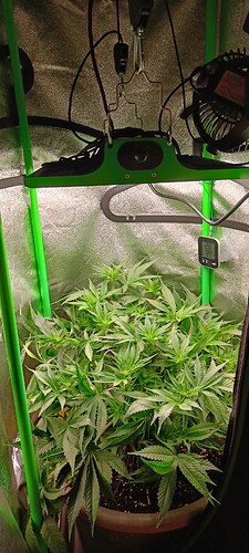 Growreport Bild 5