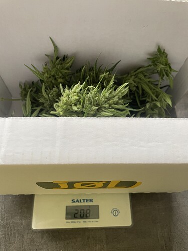Growreport Bild 9