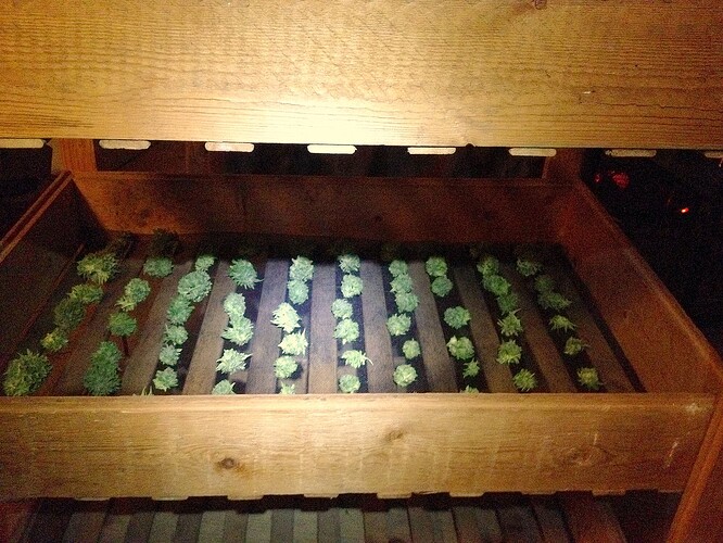 Grow25_1016b_3