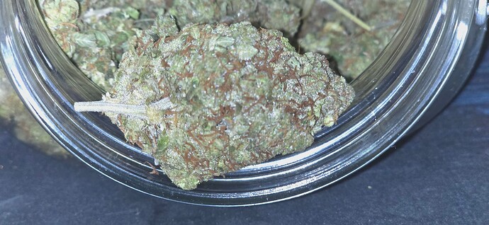 Growreport Bild 4