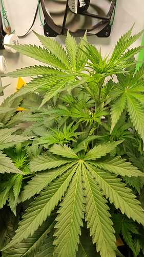 WhatsApp Image 2024-05-23 at 21.25.20