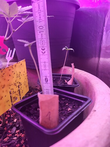 Growreport Bild 3