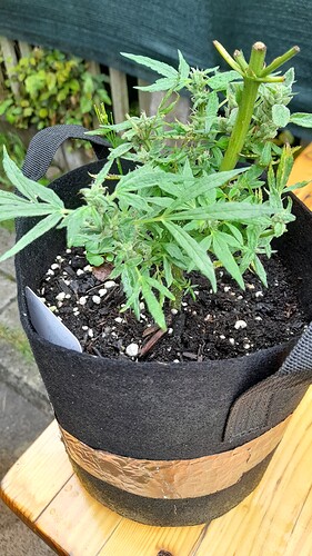 Growreport Bild 13