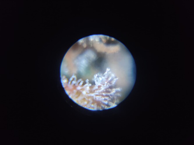 Growreport Bild 42
