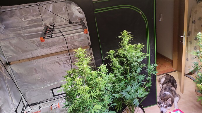 Growreport Bild 9