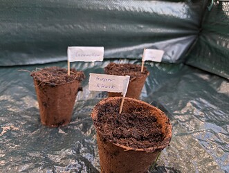 PXL_20250327_160007443