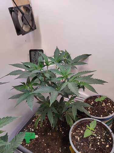 WhatsApp Image 2024-05-25 at 20.09.13 (2)