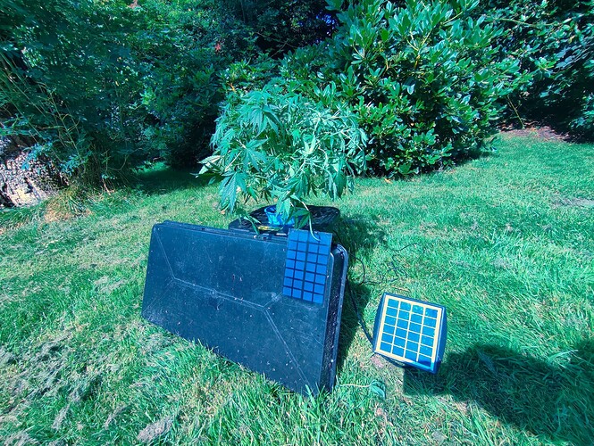 Growreport Bild 4