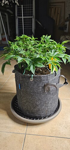 Growreport Bild 15