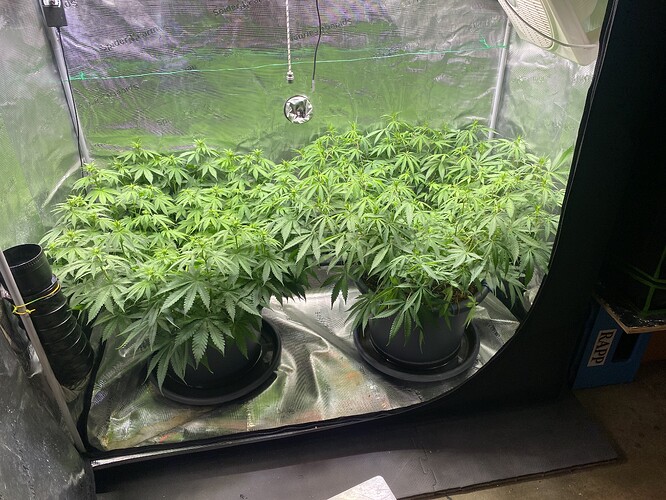 Growreport Bild 19