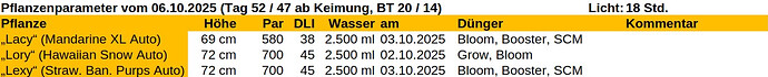 Growreport Bild 17