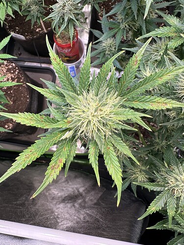 Growreport Bild 2