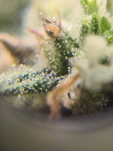 Growreport Bild 43