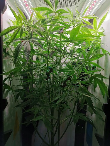 Growreport Bild 13