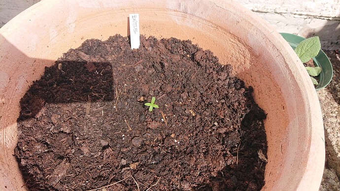 Growreport Bild 21