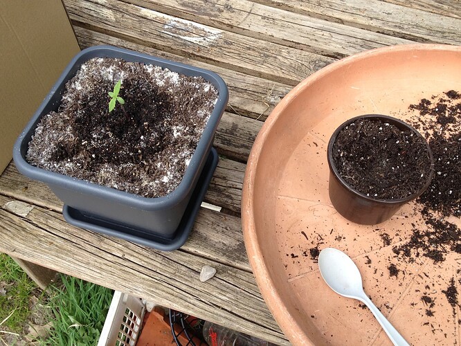 Growreport Bild 25