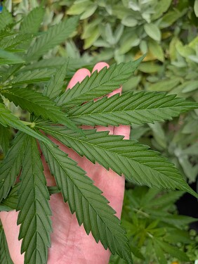 Growreport Bild 12