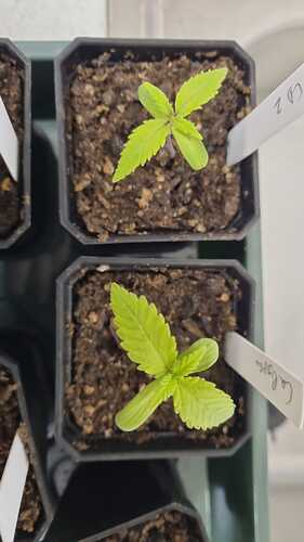 WhatsApp Image 2024-10-30 at 18.08.39