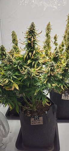 Growreport Bild 26