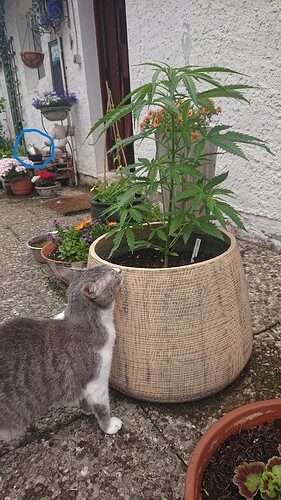 Growreport Bild 18