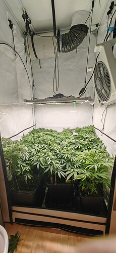 Growreport Bild 1