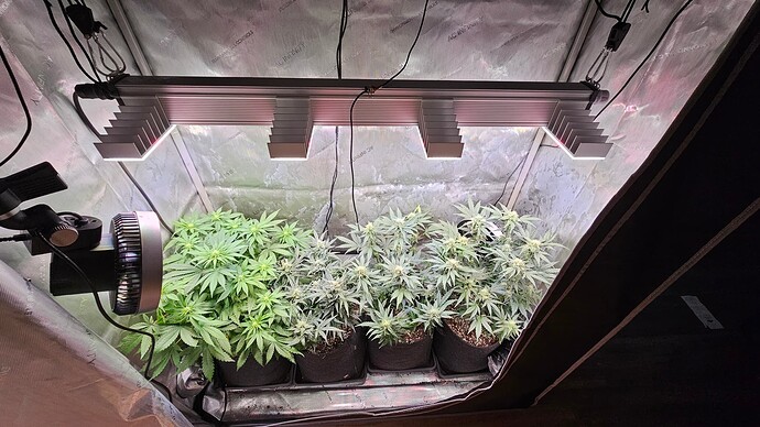 Growreport Bild 13
