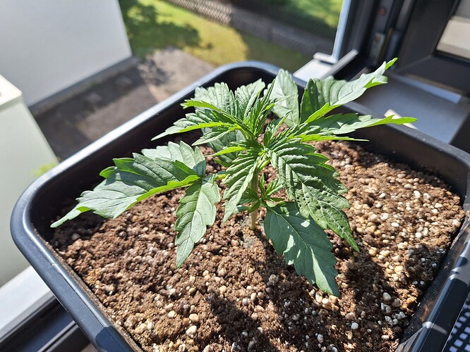 Growreport Bild 15