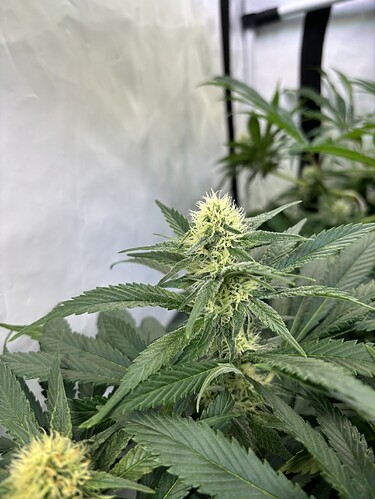 Growreport Bild 23