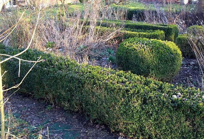 Grow25_0323_Bauerngarten_2