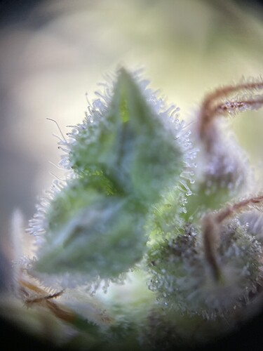 Growreport Bild 18