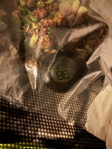 Growreport Bild 71
