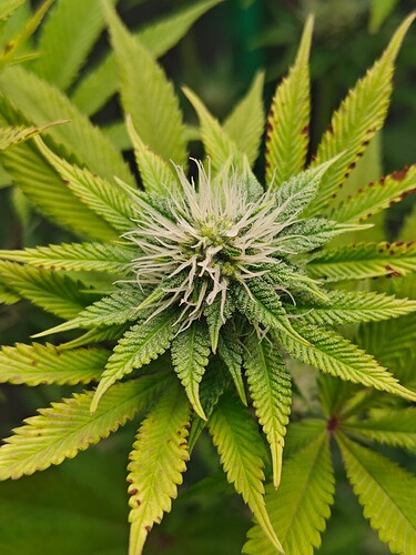 Growreport Bild 10