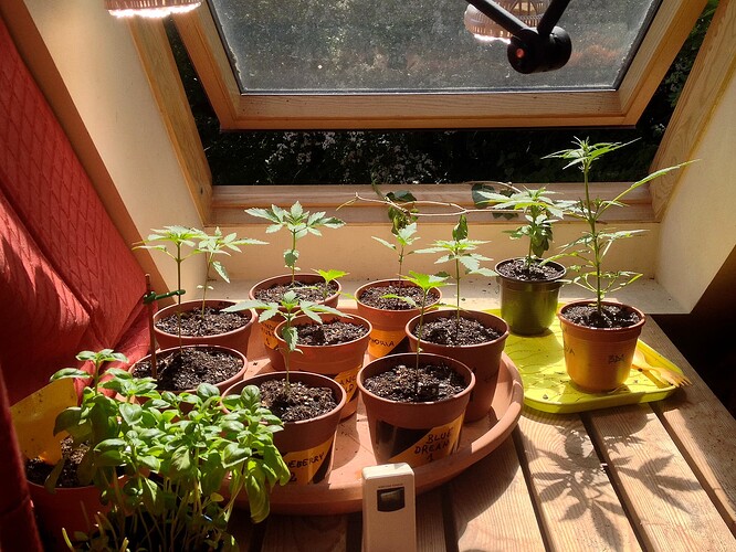 Grow25_0520_02