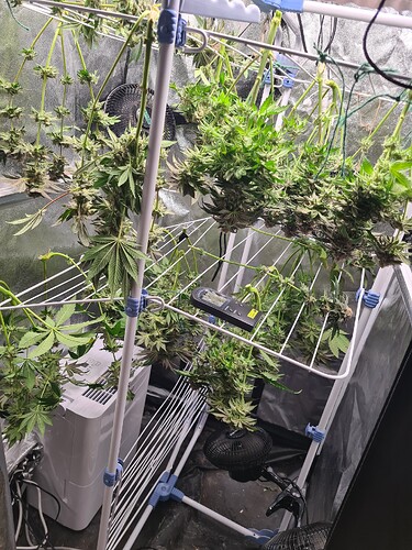 Growreport Bild 2
