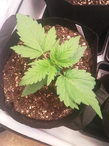 2024-05-08-083936_003