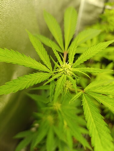 Growreport Bild 2
