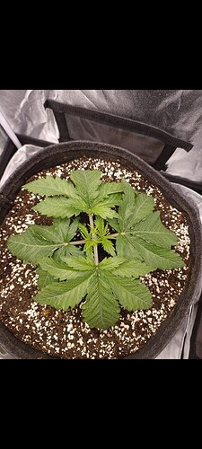 Growreport Bild 7