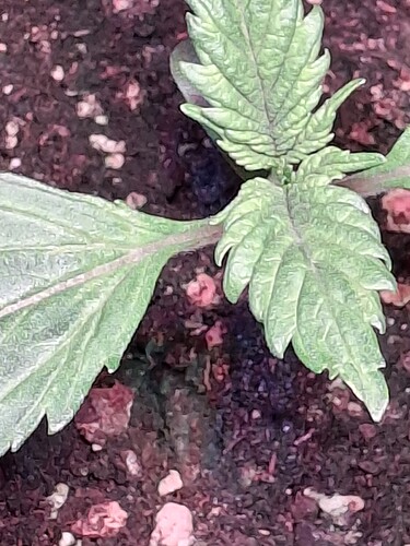 Growreport Bild 18