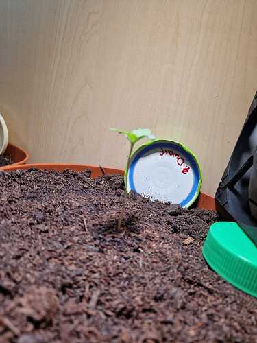 WhatsApp Image 2024-04-29 at 11.00.39 (1)