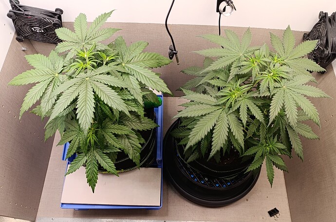 Growreport Bild 14