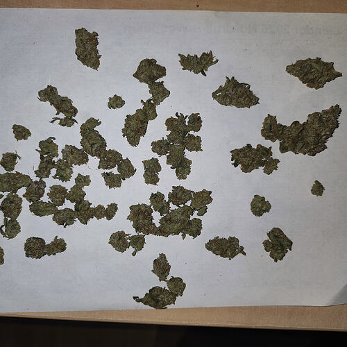 Growreport Bild 3